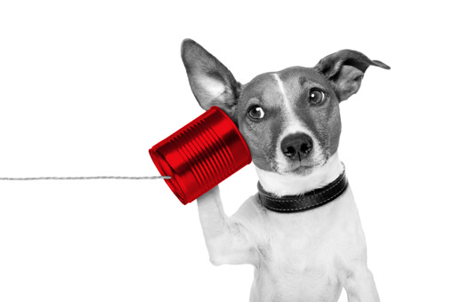Chien téléphonant avec une boîte de conserve sur son oreille