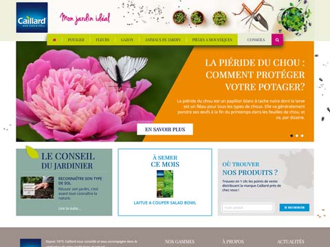 Visuel du projet de Graines Caillard